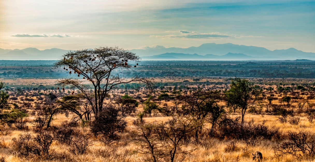 Samburu-game-reserve--top